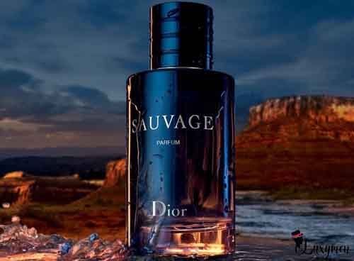 24 hours lasting perfume