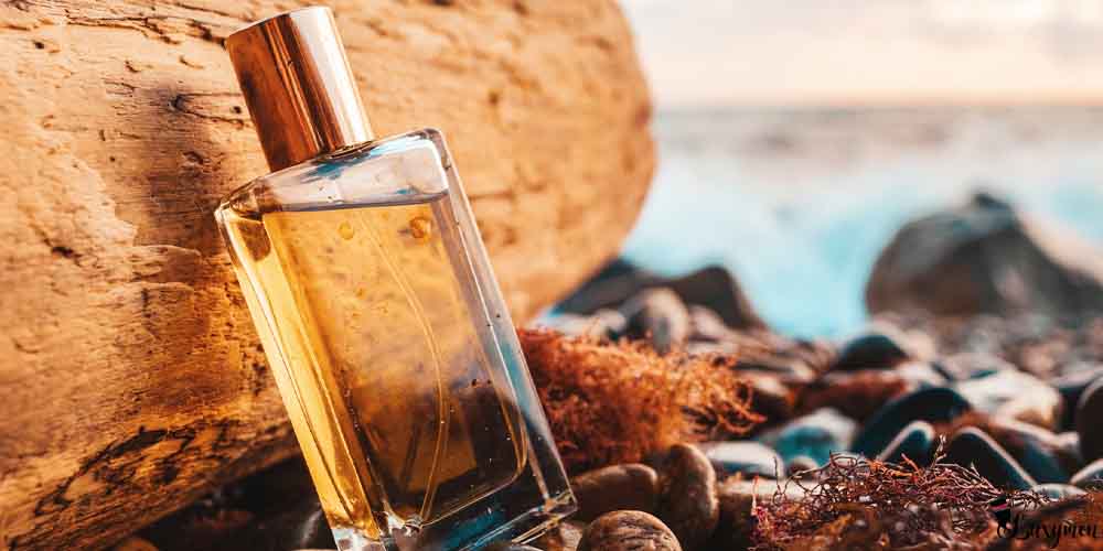 Best 24 hours long lasting perfume for men